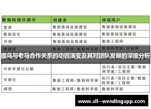 魔鸟与老马合作关系的动因演变及其对团队发展的深度分析